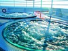 Plavba po Kanárských ostrovech a Madeiře - Costa Cruises - obrázek č. 3